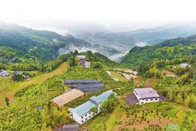 加快生态保护建设 重庆开州区打造中国崖柏之乡丨扛起新使命 区县谈落实图片