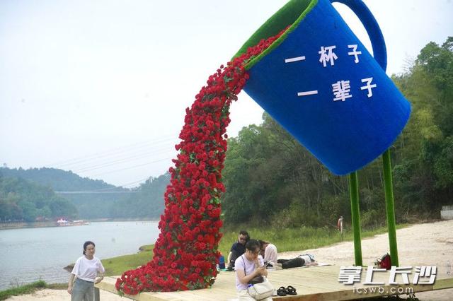 组图｜紫色花廊上线，石燕湖打造假日游玩新体验