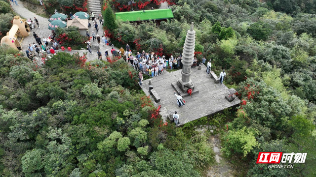 宜章莽山：“旅发效应”催热“生态游”