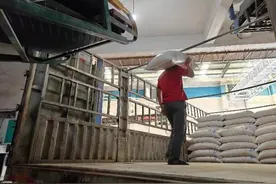 科技护粮仓 全国多地秋粮收购一线见闻图片