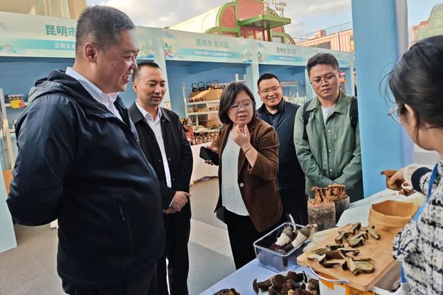 跨越山海，“甸”念沪上，鲁甸臻品亮相普陀