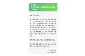 参观务必预约！山东博物馆“五一”假期临时启动预约限流入馆措施图片