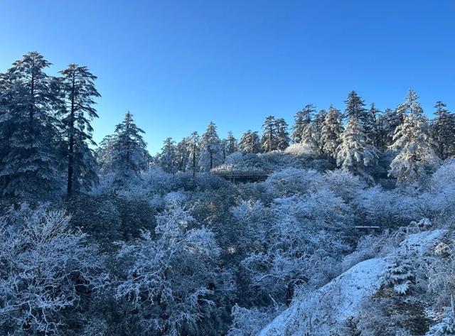 绝了！！今日瓦屋山云海+雪凇美哭啦！太适合爬山啦～