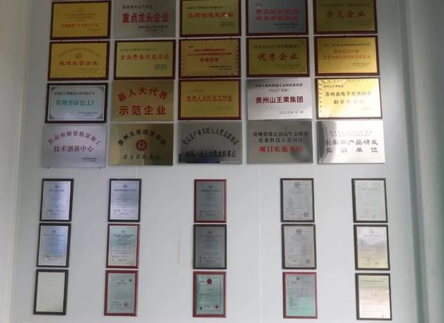 一颗浑身是刺的果子，在拼多多成为产业新贵？