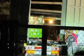大熊猫“金喜”和“茱萸”抵达马德里 旅西侨胞冒雨迎接图片