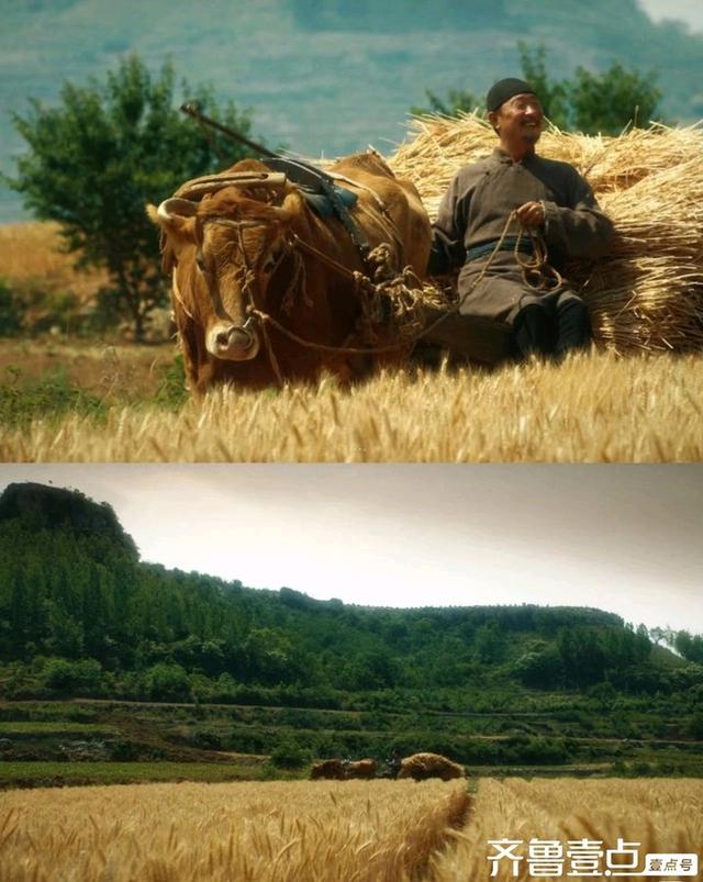 《生万物》爆火的深层原因是啥
