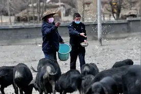 “甘孜州优秀共产党员”刘涛：脚下沾了多少泥土，心中就沉淀多少真情！图片