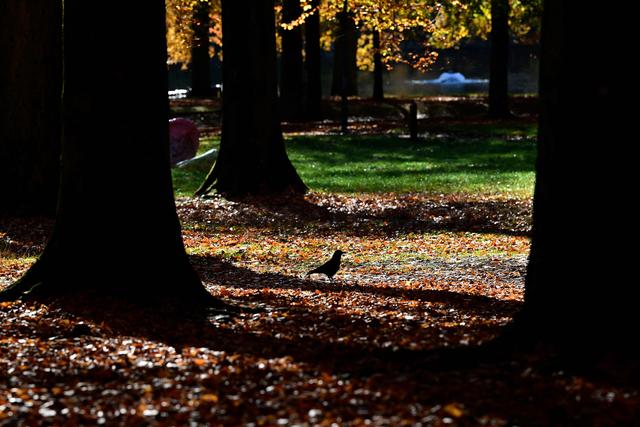 （外代一线）秋日欧洲