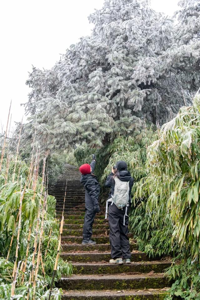 出片率99.99%！快来邂逅綦江版“冰雪奇缘”