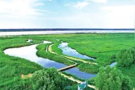 从“一水共护”迈向“全域共富”——河南在黄河流域生态保护和高质量发展中的实践探索图片