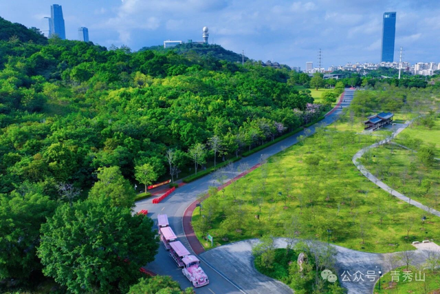 跟着赛事去旅行 | 邕城“骑”遇记！在南宁这些骑行线路里，藏着最美的秋天