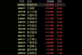 稀土永磁板块盘中异动拉升，机构：重申板块底部向上机会图片