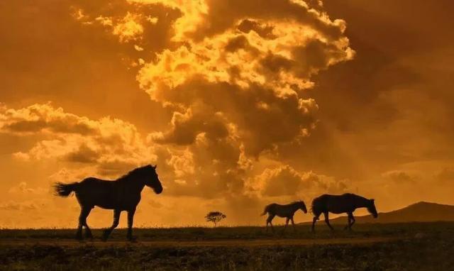 不来珲春，怎知秋色如许？（惊艳美图来袭）