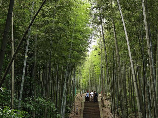 贵州避暑哪家强？各个市州展锋芒 | 遵义：川渝人旅居的第二故乡