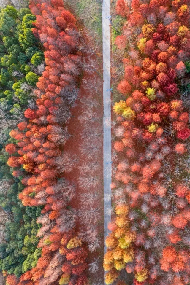 阿锡，赏秋正当时，你我皆风景！