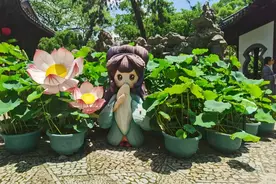 罕见的“红边绿瓣”首次现身，上海刚出梅就迎来28位稀客图片