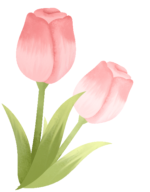 全城“粉”了！地铁直达→