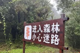 哀牢山未来半个月徒步团已报满，如何保证安全？图片