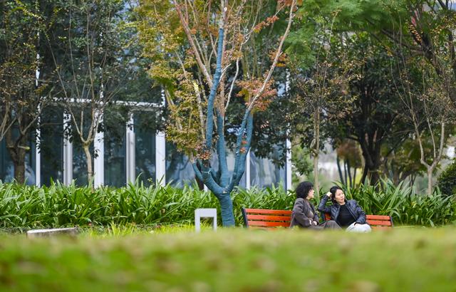 图片新闻｜两江新区：特色景点耍事多 花石公园迎开放