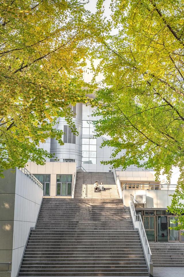 限时绝美！年度顶流！