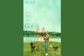 高圆圆：给自己留出“空窗期”，人生需要“走走停停”图片