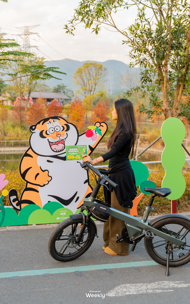 出发！去深圳最特别的「胖虎主题市集」，逛吃一天