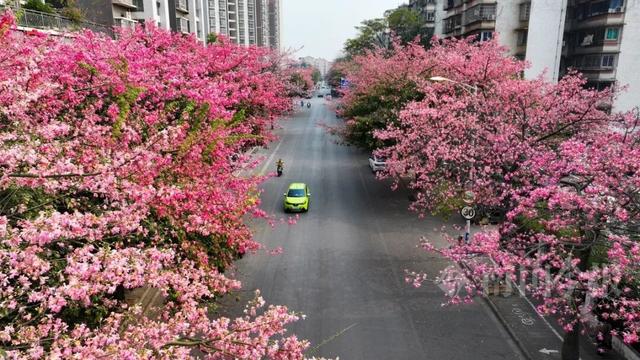 柳州，彩色刷屏！大反转也要来了！