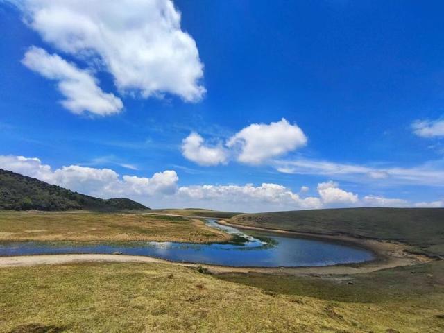 大理鸟吊山保护区能徒步吗？洱源县：出于生态保护和安全考虑，禁止游客进入