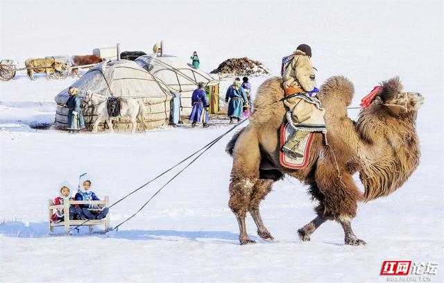 跟着网友游内蒙古丨雪线之上，生活如歌