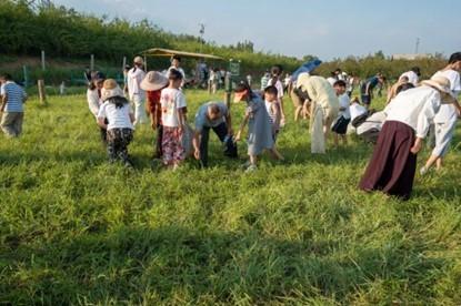 回归自然，重拾野趣！山东沂水首届山野乡愁蚂蚱节开幕