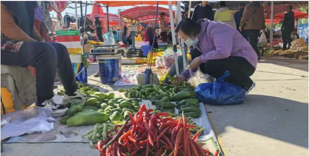 “城市更新 共创美好”｜白城拆围透绿惠民生：  360处围挡“变身”17处便民空间 释放城市活力