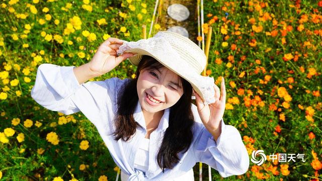 百色福禄河湿地公园：秋日花海绚烂 市民尽享浪漫时光