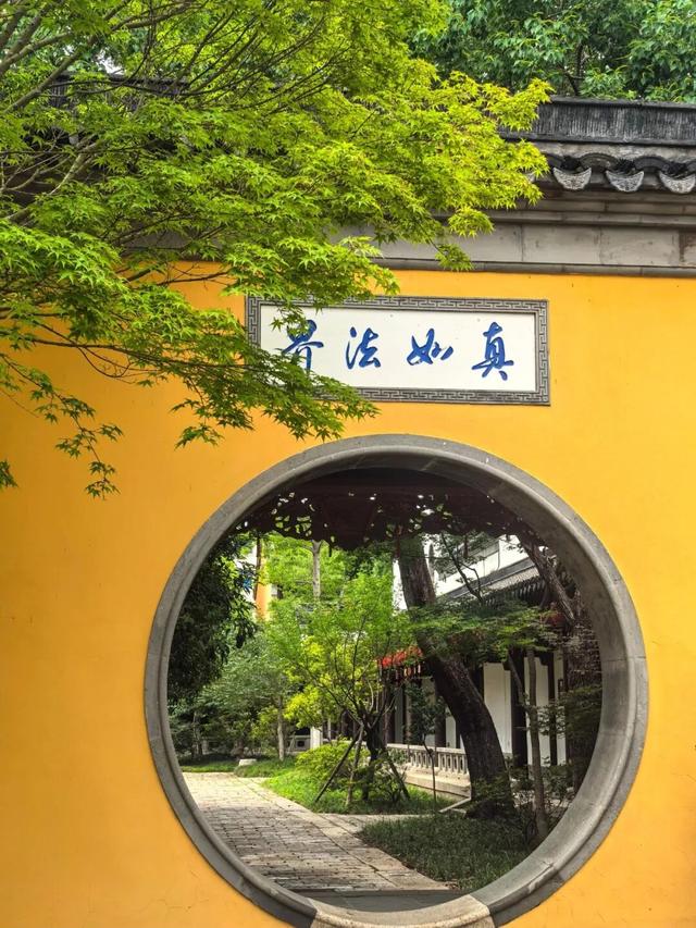 八面玲珑，见泰州N面！