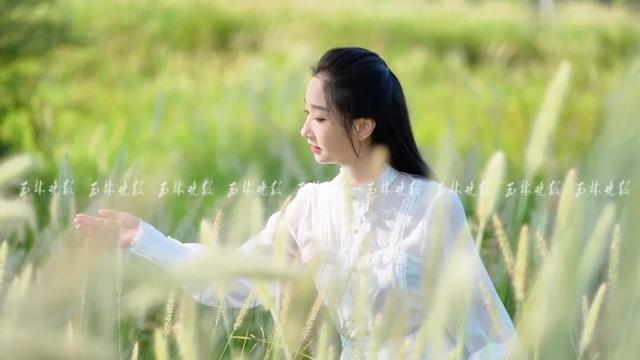 景美人少！玉林这片“蓬松海”拍照出片又有氛围感