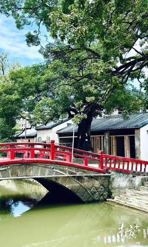 南方观察｜“绣”千年风华，揭阳正在下一盘大棋