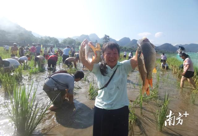 连州连南生态美 推窗见绿醉游人