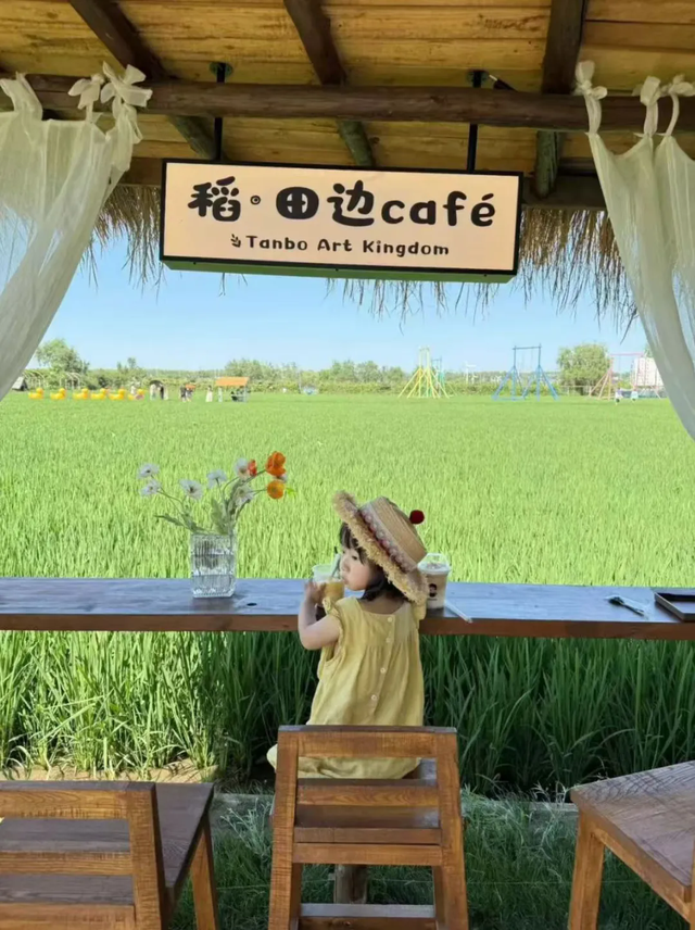 空调“续命”？沈阳喊你来避暑！这些地方超凉爽！