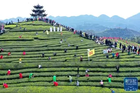游客住到文旅局长家，不妨订好住宿再出发 | 新京报快评图片