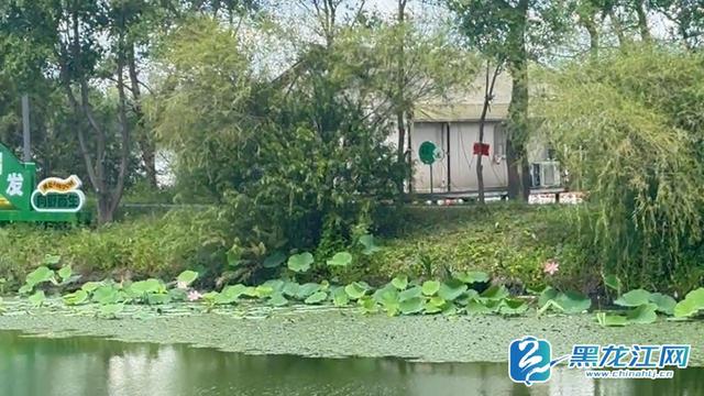 运粮河谷营地：在哈尔滨近郊邂逅 “慢时光” 的交旅融合样本