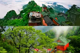 免费！半价！多地宣布→图片