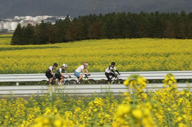 曲靖：邀八方游客体验19.7℃的清凉旅居生活