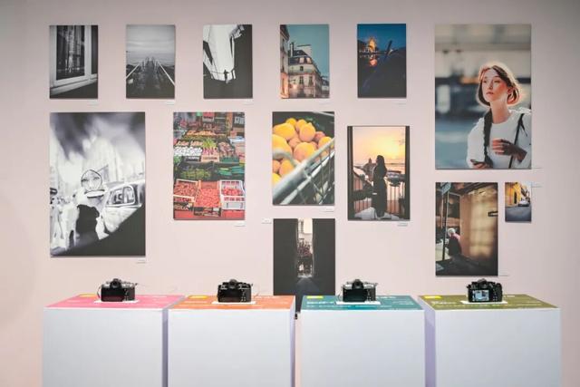 跨越那二十多分钟：集美·阿尔勒的十一年