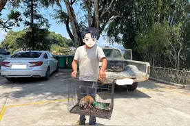 芒市警方：救助 “大眼小可爱” 共筑和谐生态圈图片