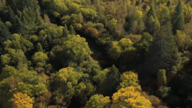 央媒看白山 | 人民网：白山，不止长白山