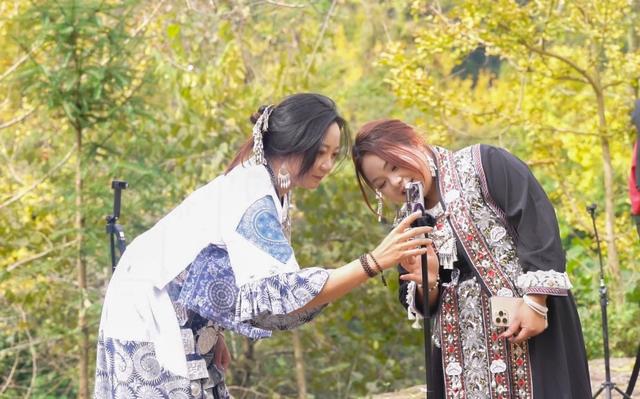 山村尽带黄金甲 古树银杏醉妥乐