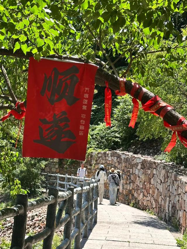 夏日避暑指南 | 兴隆山，邂逅21°的清凉