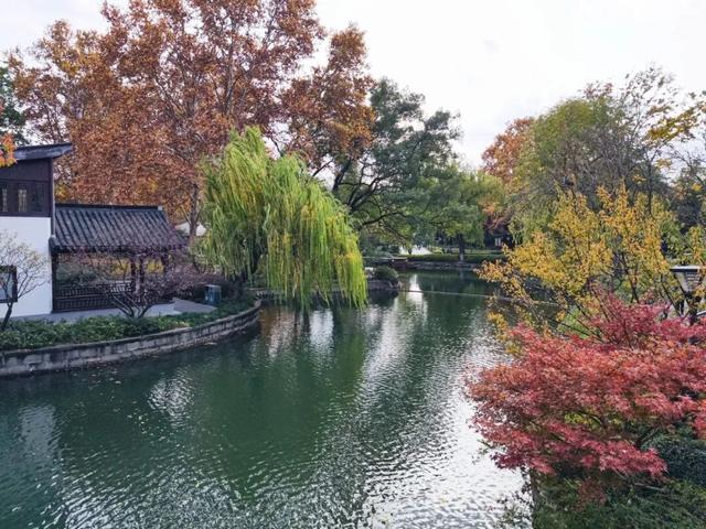 在静安，藏着一处红枫黛瓦的冬日中式美学“顶流”，猜猜在哪里？