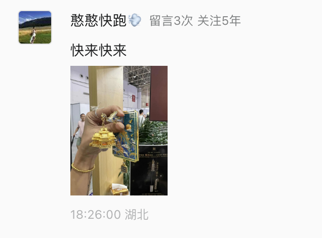 230亿！不愧是武汉
