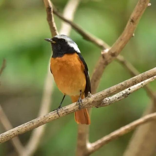 北京冬日限定“奇观”！就到月底！快冲→