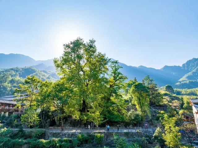 周游江西 | 走进明月山，邂逅会呼吸的周末（文末福利）